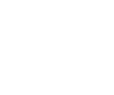 CARLINI AUTOMOTORES